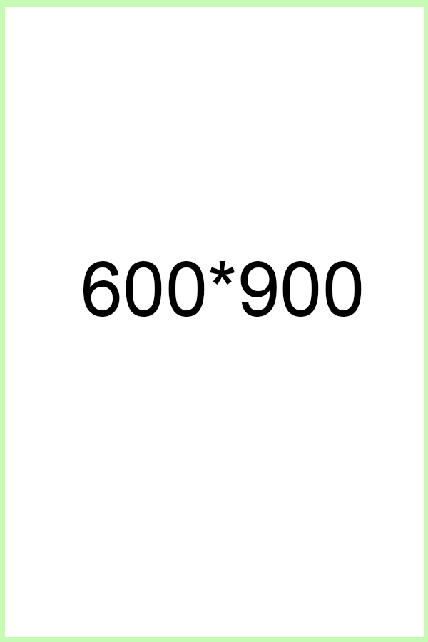 Search Visibility Foundation